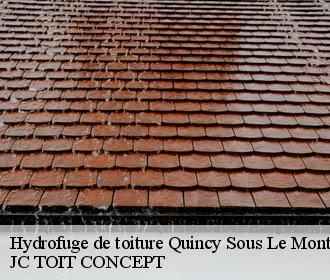 Hydrofuge de toiture  quincy-sous-le-mont-02220 JC TOIT CONCEPT