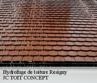 Hydrofuge de toiture  resigny-02360 JC TOIT CONCEPT
