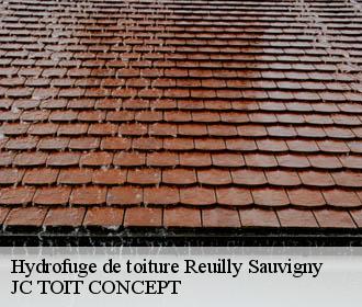Hydrofuge de toiture  reuilly-sauvigny-02850 JC TOIT CONCEPT