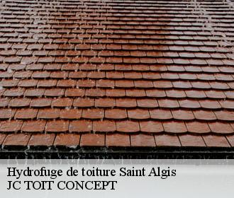 Hydrofuge de toiture  saint-algis-02260 JC TOIT CONCEPT
