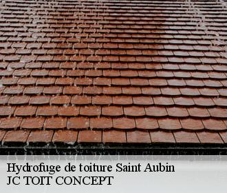 Hydrofuge de toiture  saint-aubin-02300 JC TOIT CONCEPT