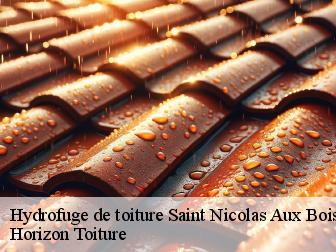 Hydrofuge de toiture saint-nicolas-aux-bois-02410 Horizon Toiture