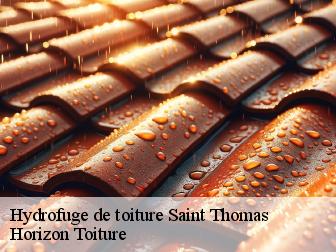 Hydrofuge de toiture saint-thomas-02820 Horizon Toiture