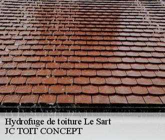 Hydrofuge de toiture  le-sart-02450 JC TOIT CONCEPT