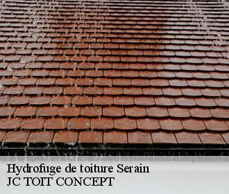 Hydrofuge de toiture  serain-02110 JC TOIT CONCEPT