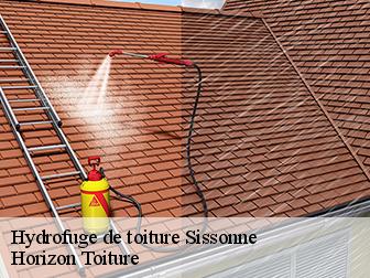 Hydrofuge de toiture 02150