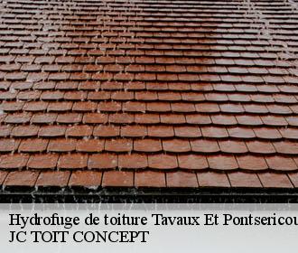 Hydrofuge de toiture  tavaux-et-pontsericourt-02250 JC TOIT CONCEPT