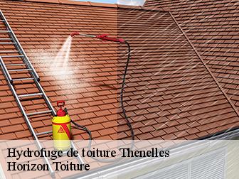 Hydrofuge de toiture 02390