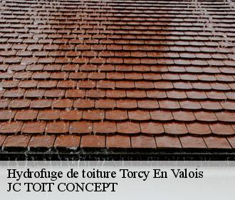 Hydrofuge de toiture  torcy-en-valois-02810 JC TOIT CONCEPT