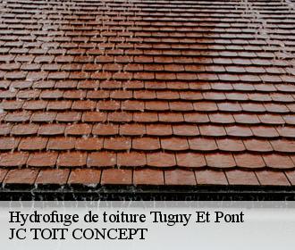 Hydrofuge de toiture  tugny-et-pont-02640 JC TOIT CONCEPT