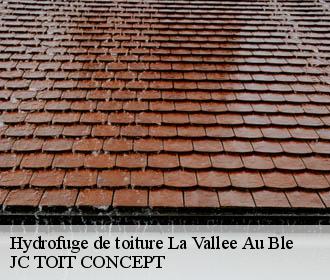 Hydrofuge de toiture  la-vallee-au-ble-02140 JC TOIT CONCEPT