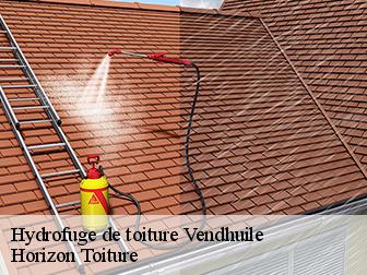 Hydrofuge de toiture 02420