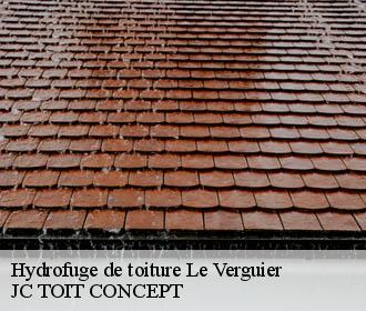 Hydrofuge de toiture  le-verguier-02490 JC TOIT CONCEPT