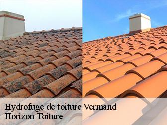 Hydrofuge de toiture