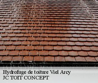 Hydrofuge de toiture  viel-arcy-02160 JC TOIT CONCEPT