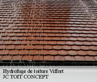 Hydrofuge de toiture  viffort-02540 JC TOIT CONCEPT