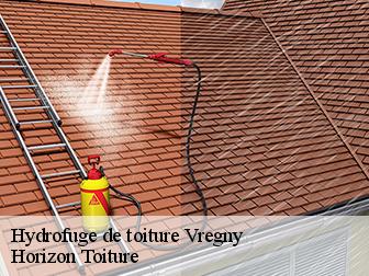 Hydrofuge de toiture 02880