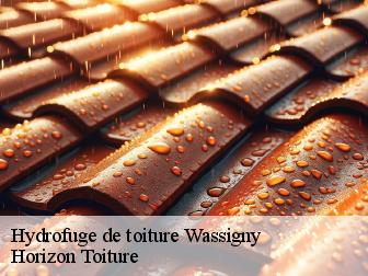 Hydrofuge de toiture wassigny-02630 Horizon Toiture