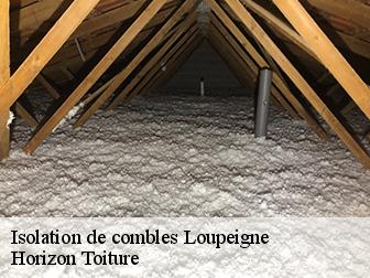 Isolation de combles