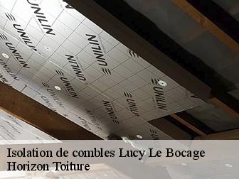 Isolation de combles 02400