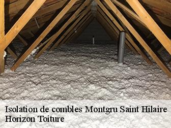 Isolation de combles