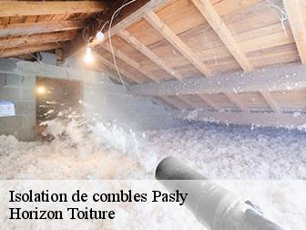 Isolation de combles pasly-02200 Horizon Toiture