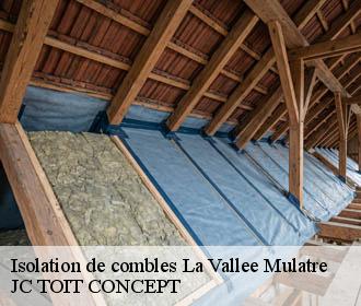 Isolation de combles  la-vallee-mulatre-02110 JC TOIT CONCEPT